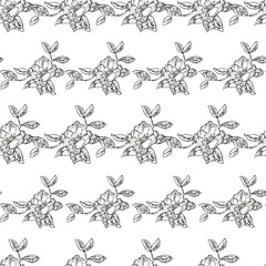 Poster - line art watercolor rose repeat pattern print background