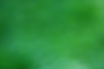 abstract green summer bokeh background, gradient view art texture glow