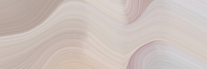 Fototapete - abstract colorful horizontal header with silver, rosy brown and light gray colors. fluid curved lines with dynamic flowing waves and curves for poster or canvas