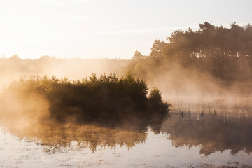 Beautiful golden foggy polish lake with small island, forest in the background on a sunny sunset / sunrise