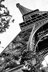 Wall Mural - view of the eiffel tower