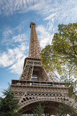 Wall Mural - view of the eiffel tower