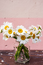 Bouquet Of Daisies In A Glass Jar On A Wooden Surface On A Pink Background