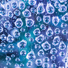 Large Drops Of Water After Rain On The Web Close Up On A Blue Background