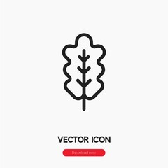 Poster - oak leaf icon vector symbol sign