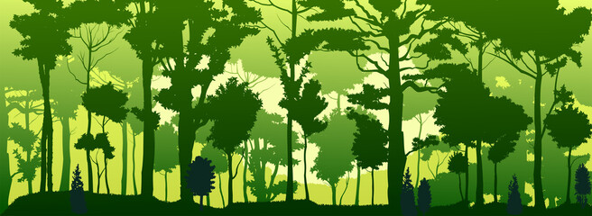 Forest silhouette deciduous. Vector. Summer landscape. Jungle.