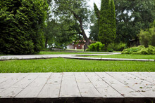 Wooden Terrace Or Path With Green Lawn And Trees At Yard Or Garden. Garden Landscape Design.