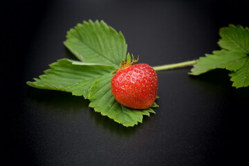 Poster - strawberry on black background