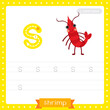 Letter S lowercase tracing practice worksheet of Standing Shrimp