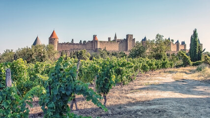 Wall Mural - View of the medieval old town of Carcassonne in France