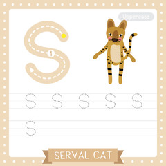 Wall Mural - Letter S uppercase tracing practice worksheet of Serval Cat
