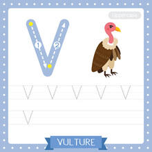 Letter V Uppercase Tracing Practice Worksheet Of Vulture Bird
