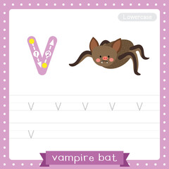 Wall Mural - Letter V lowercase tracing practice worksheet of Vampire Bat