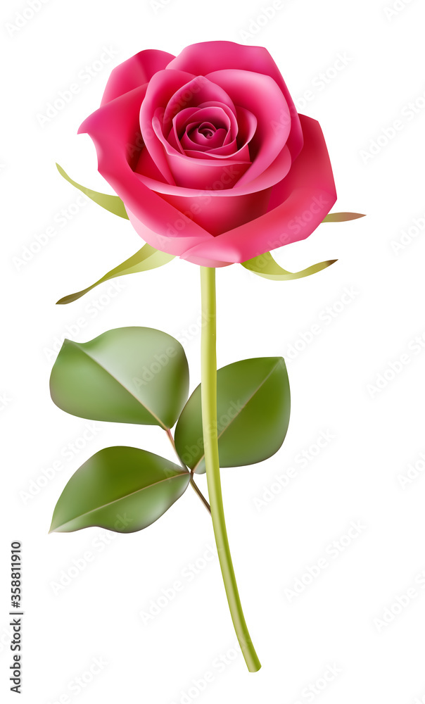 Decorative realistic pink rose with green leaves isolated on white ...