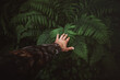 Close up of explorer male hand wearing camouflage clothing. Touching the grean fern leaves in the wilderness forest. Survival travel,lifestyle concept.	