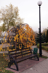 Wall Mural - Bench in the autumn park