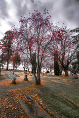 Cemetery in Fall