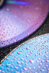 Wall Mural - water drops on dvd media, water drops on colorful background