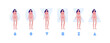 © tasty_cat - Female body type shape concept. Vector flat people illustration set. Collection of woman character in bikini underwear isolated on white. Design element for banner, inforgraphic, web.