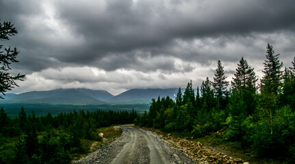 gravel road to mountain ridge with small coniferous trees during stormy weather with gray clouds