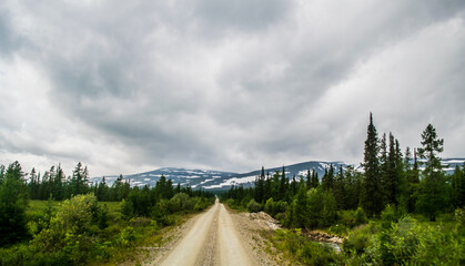 gravel road to mountain ridge with small coniferous trees during stormy weather with gray clouds
