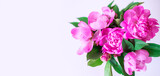 Fototapeta Storczyk - background with pink peonies. Blooming summer banner