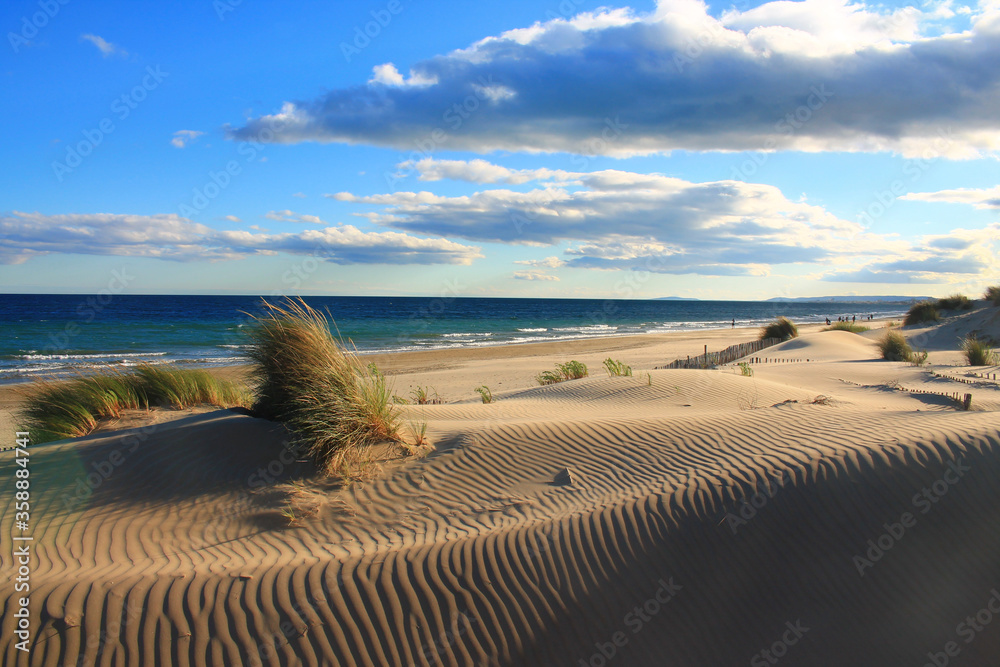 Natural and wild beach with a beautiful and vast area of dunes, Camargue region in the South of Montpellier, France
 - obrazy, fototapety, plakaty 