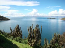 Bay On Isla Del Sol Where According To The Inca Founding Legend Appeared Manco Capac And Mama Ocllo, Founders Of The Inca Dinasty (Lake Titicaca, Challapampam Bolivia)	