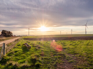 Wall Mural - Wind farms at sunset at Waubra in Victoria Australia