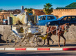 Pferdekutsche;Königsstadt Mekenes Markt Marokko Afrika
