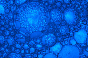 Poster - Close up beautiful abstract blue bubbles in water extreme. Abstract nature pattrn for design.