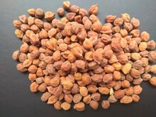 The Best Quality Indian Gram Seeds