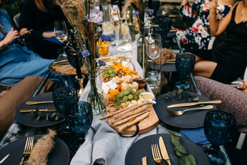 Top view at a table with big cheese plate and glasses of wine at a backyard home garden party, outdoors.