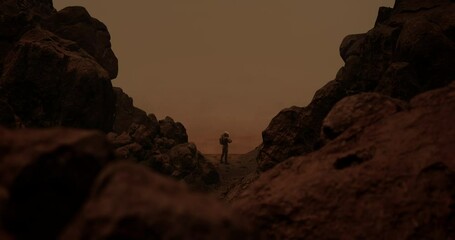 Wall Mural - dolly in back view of lonely astronaut walking on a surface of a red rocky planet. mars colonization