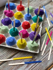 painted egg box, and ice cream sticks, children's craft