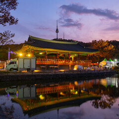 Wall Mural - seoul tower temple