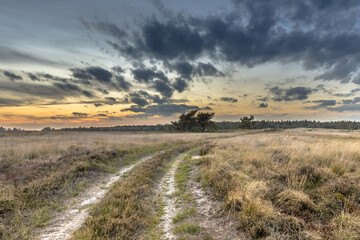 Sticker - Natural heathland landscape near Hijken