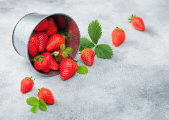 Organic fresh summer farm strawberries with leaf in steel bucket on light background.