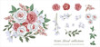 Vector floral set with leaves and flowers. Elements for your compositions, greeting cards or wedding invitations. Red and white roses, berries and white flowers