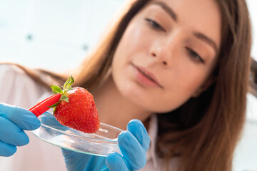 Canvas Print - Quality inspection of agricultural food products. Checking the content of nitrates and herbicides in strawberries