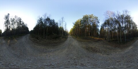 Wall Mural - Sunshine in the forest HDRI Panorama