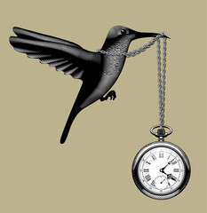 Engraved vintage drawing of a flying hummingbird with a retro pocket watch