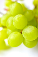 Green ripe grapes macrophotography on a white background