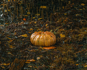 Halloween Pumpkin