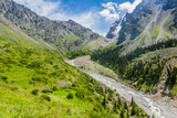 Fototapeta Kuchnia - Ala Archa valley in Kyrgyzstan