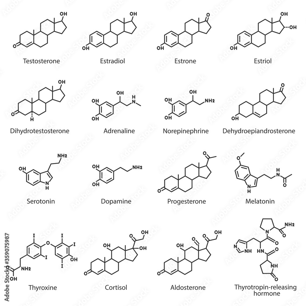 Hormones, chemical structures set. The hormone of internal secretion secreted by the adrenal glands, hypothalamus, ovaries, pituitary, pineal gland, etc, linear icons. Line with editable stroke - obrazy, fototapety, plakaty 