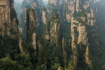 Tall sandstone pillars in Wulingyuan Scenic and Historic Interest Area in Zhangjiajie National Forest Park in Hunan province, China