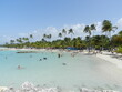 © xlatlantique - Plage de cocotiers à Sainte Anne Guadeloupe