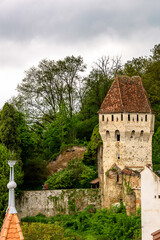 Wall Mural - Roof tops of the historic centre of Sighisoara, Romania. UNESCO World Heritage