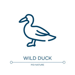 Poster - Wild duck icon. Linear vector illustration from free animals collection. Outline wild duck icon vector. Thin line symbol for use on web and mobile apps, logo, print media.